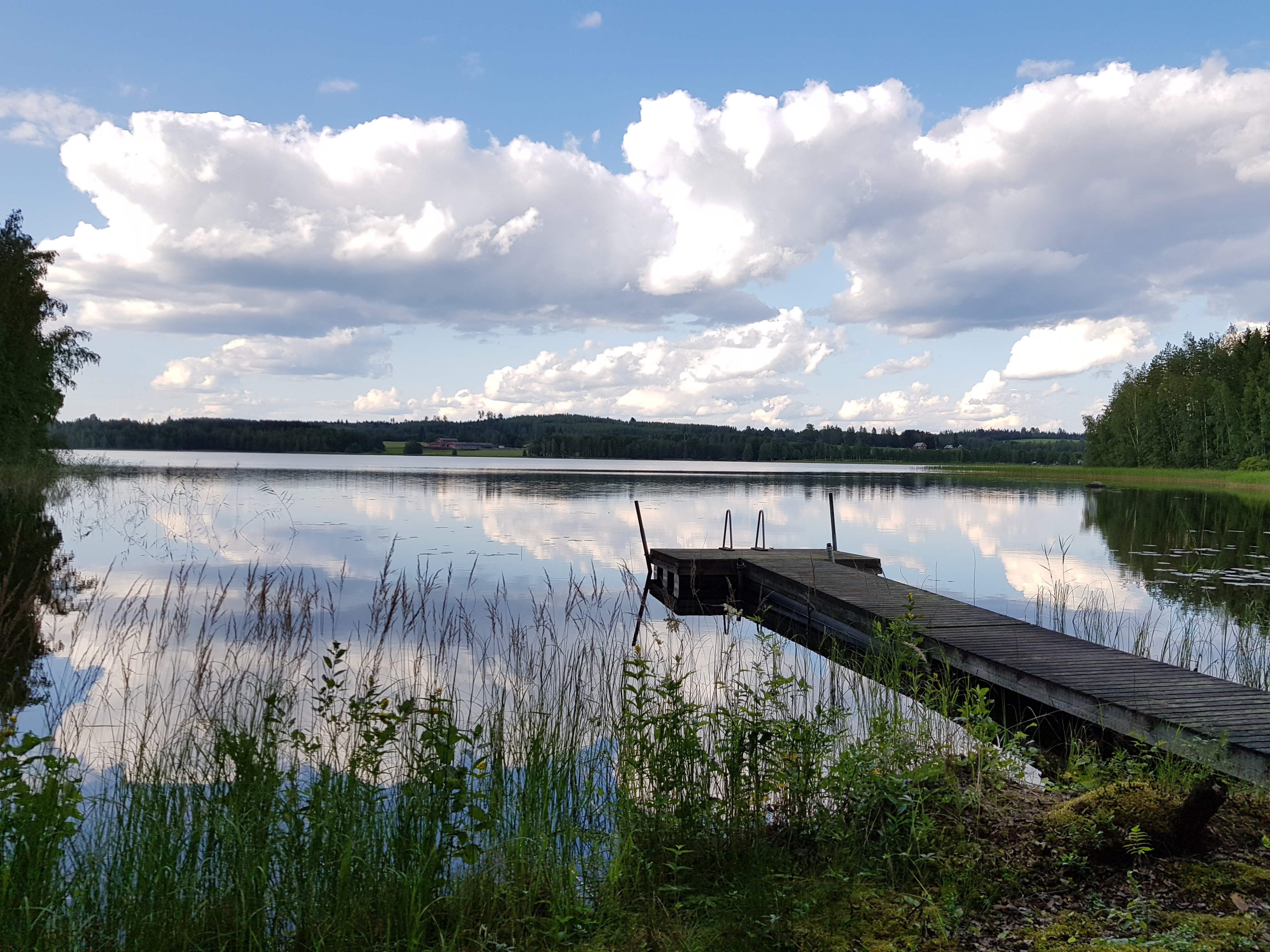 Uudet kotisivut julkaistu