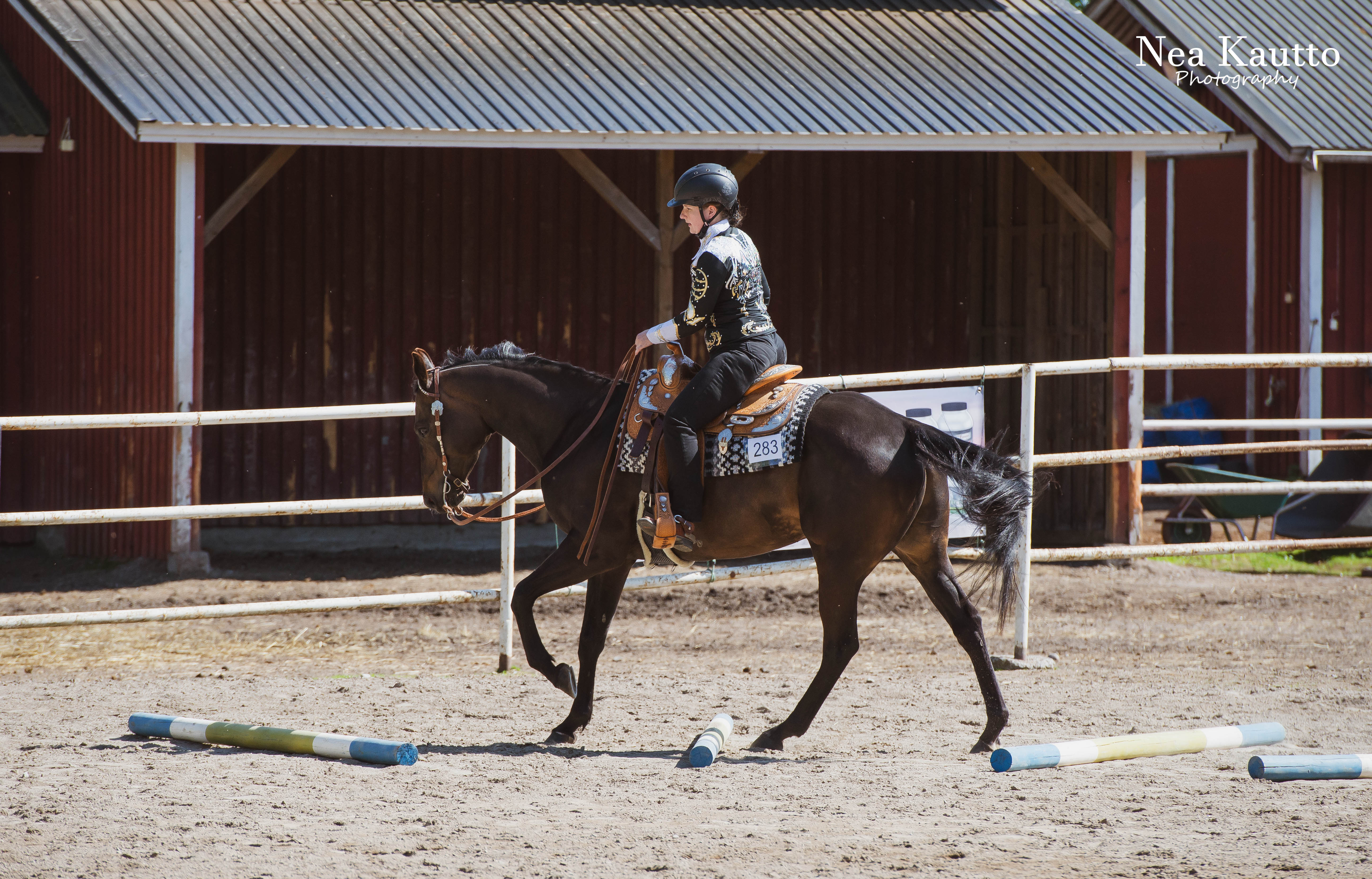 Showmanship at halter