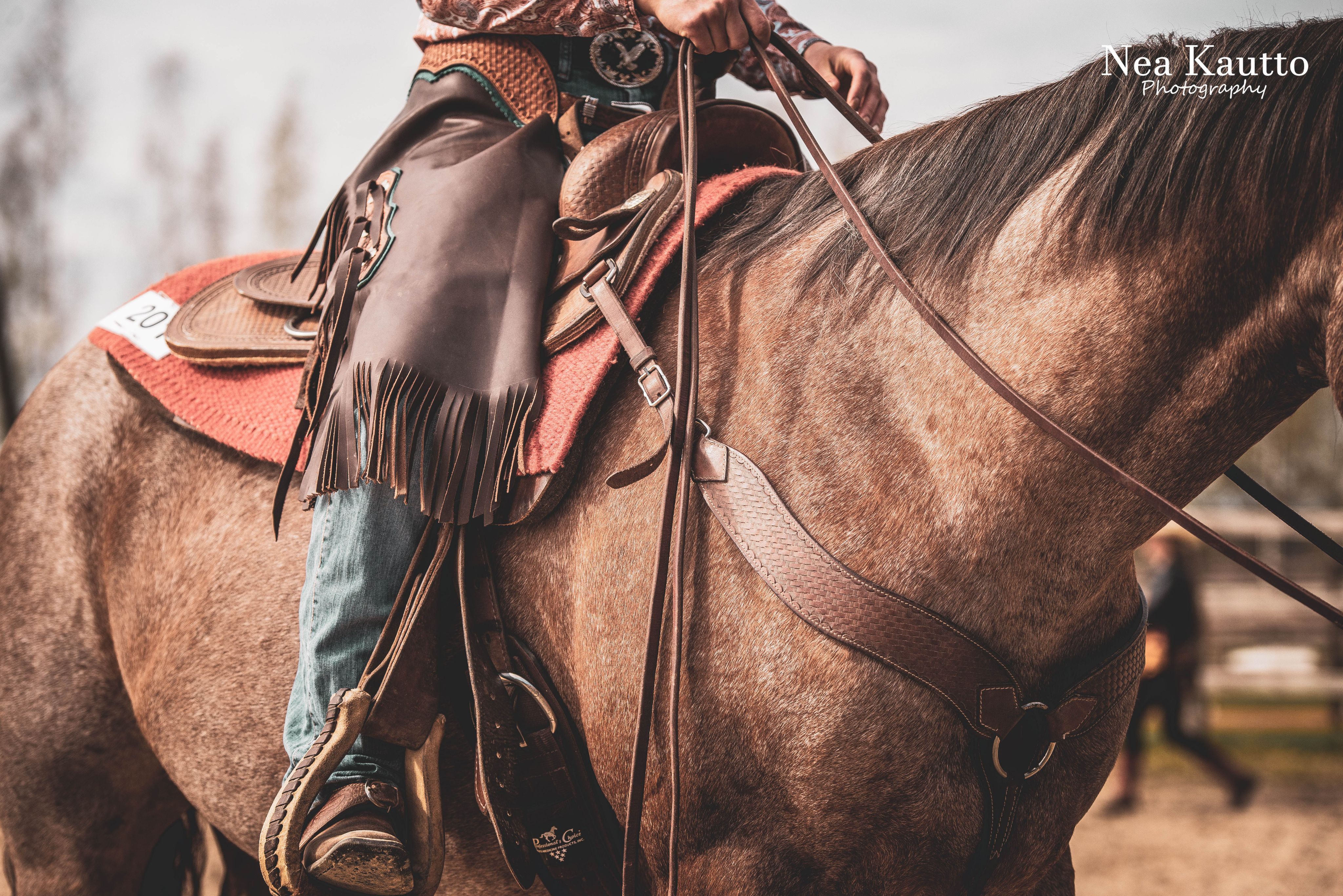 Ranch riding